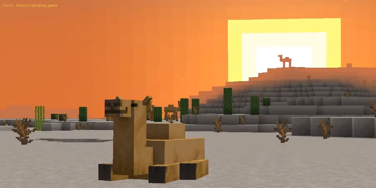 Como domar camelos em Minecraft