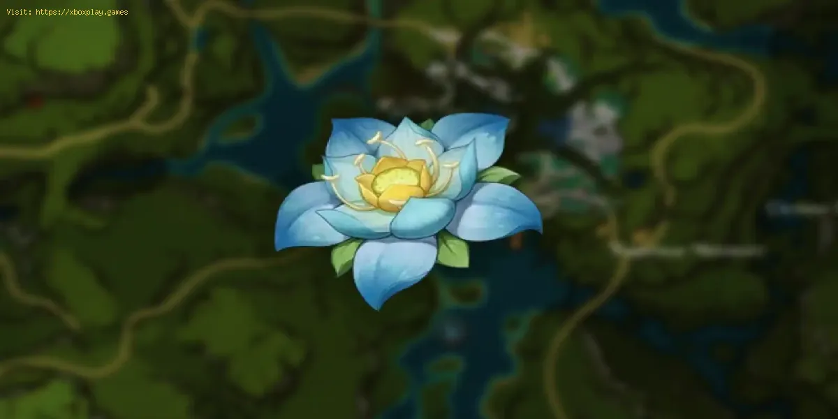 Emplacement du lotus de Kalpalata : Guide de l'Genshin Impact 