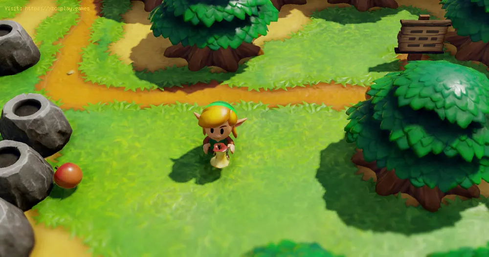 Legend of Zelda Link’s Awakening: How to get Past the Raccoon - tips and tricks