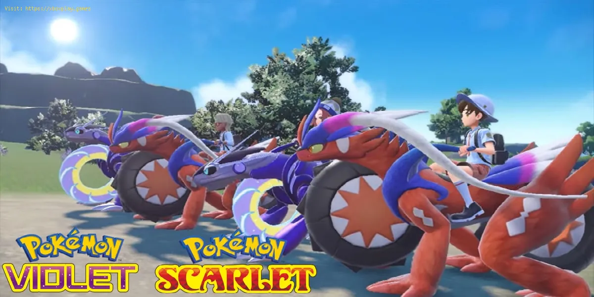 So erhalten Sie den Boxhandschuh in Pokémon Scarlet Violet