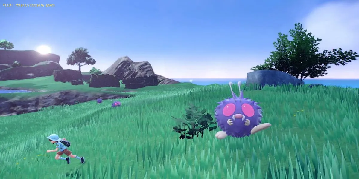 Comment obtenir la boule de minuterie dans Pokémon Scarlet Violet ?
