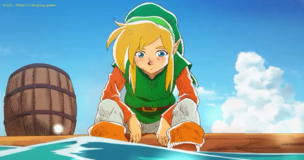 Legend of Zelda Link’s Awakening: How To use Secret Seashells