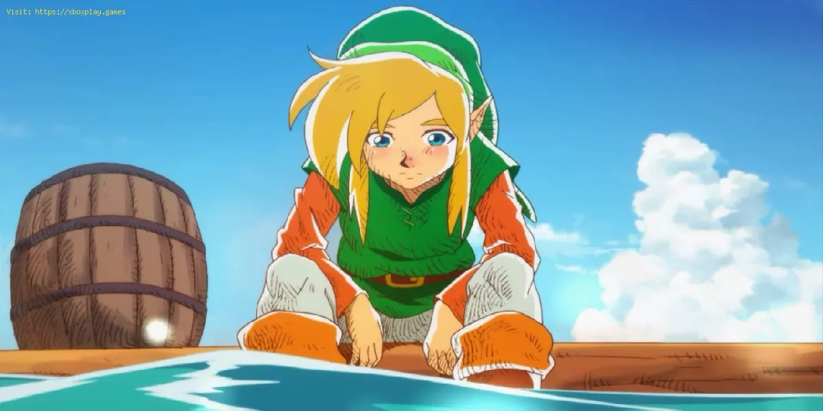 Legend of Zelda Link’s Awakening: como usar as conchas secretas