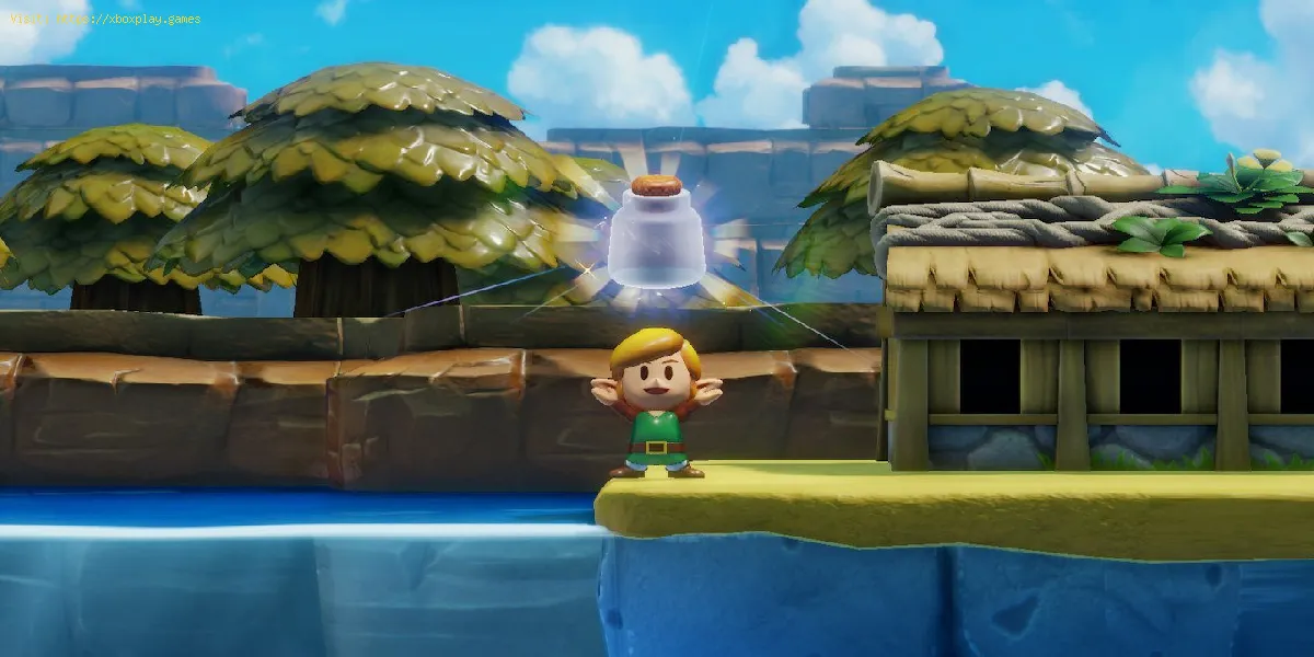 Legend of Zelda Link’s Awakening: comment obtenir une bouteille vide