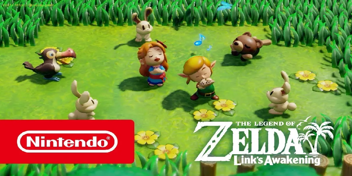 Legend of Zelda Link’s Awakening: wie man geschützte Feinde besiegt