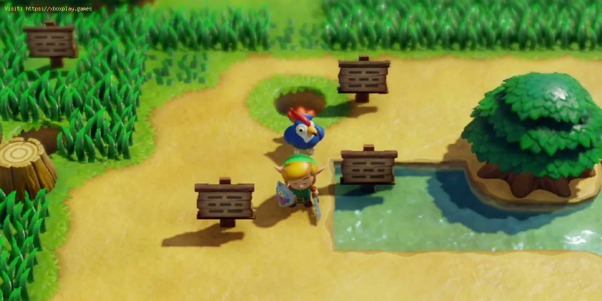  Legend of Zelda Link’s Awakening: Cómo completar el laberinto del poste indicador 