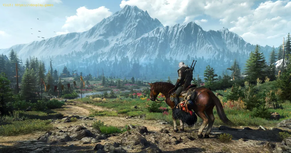 How to Pet Cockroaches in The Witcher 3 Next Gen
