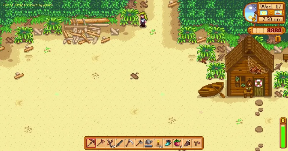 Where to Find Rainbow Shells in Stardew Valley