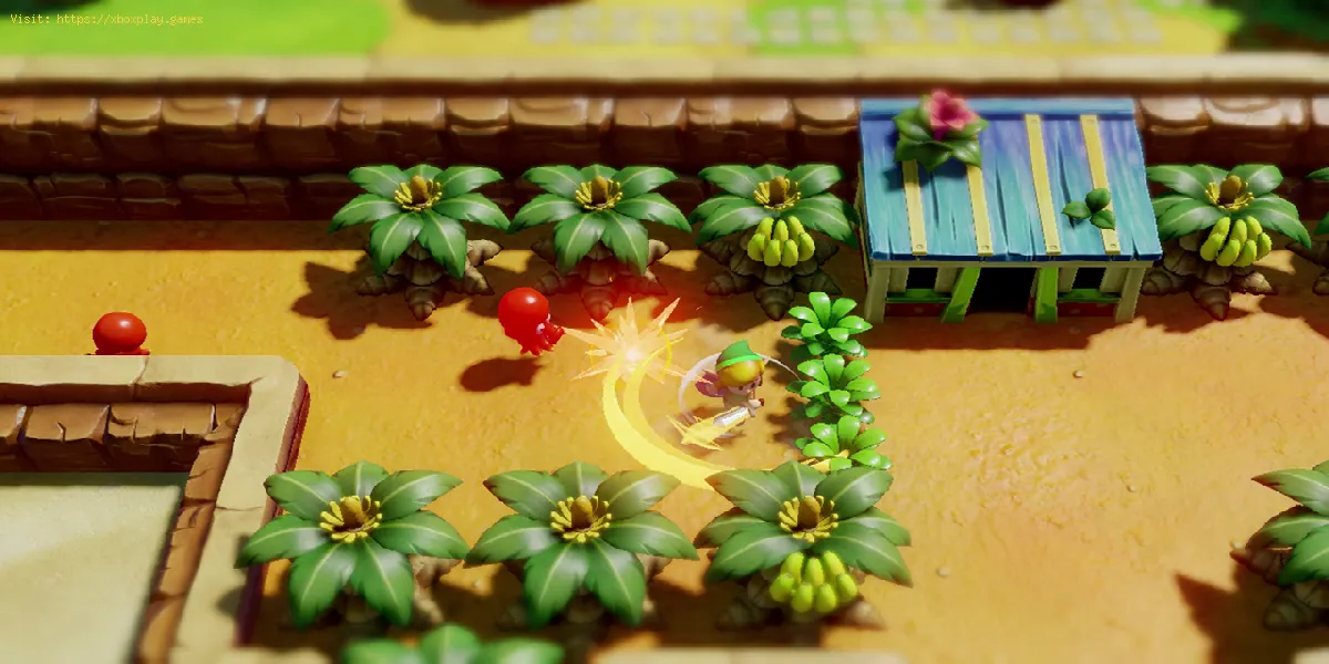 Legend of Zelda Link's Awakening: Wie man in die Wüste kommt