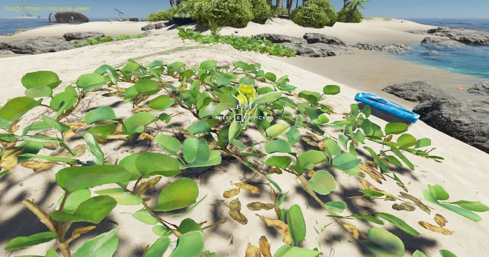 How to get The Pipi Plant In Stranded Deep