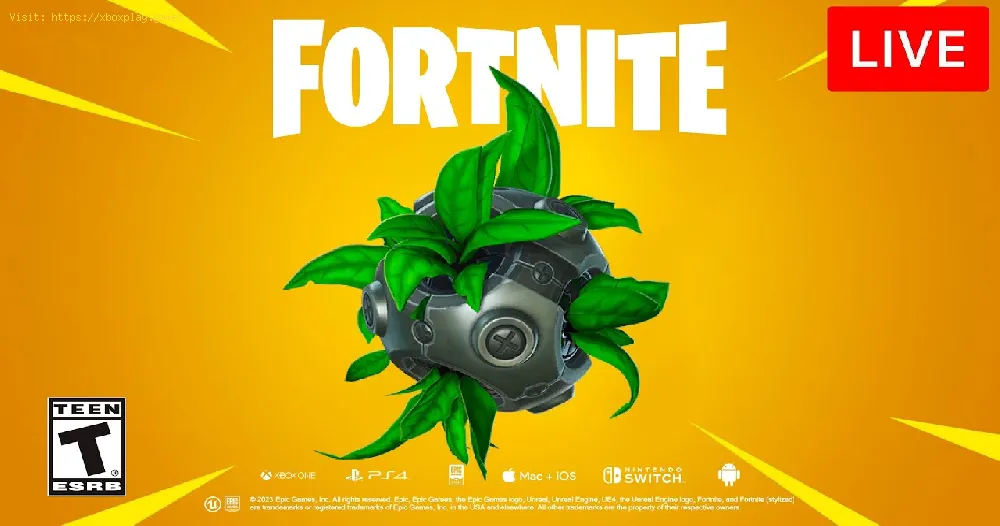 How to Use the Big Bush Bomb in Fortnite?