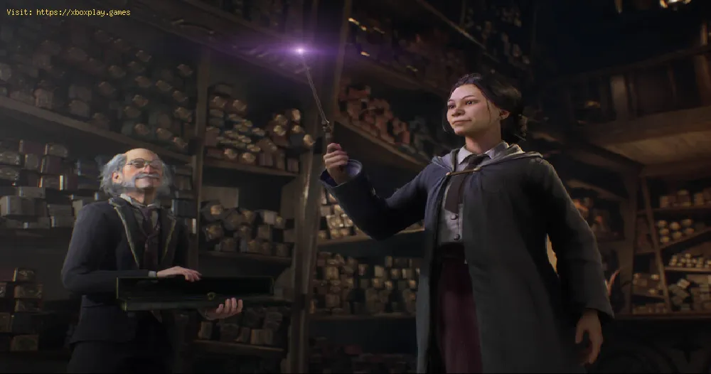 Fix take the biscuit in Hogwarts Legacy