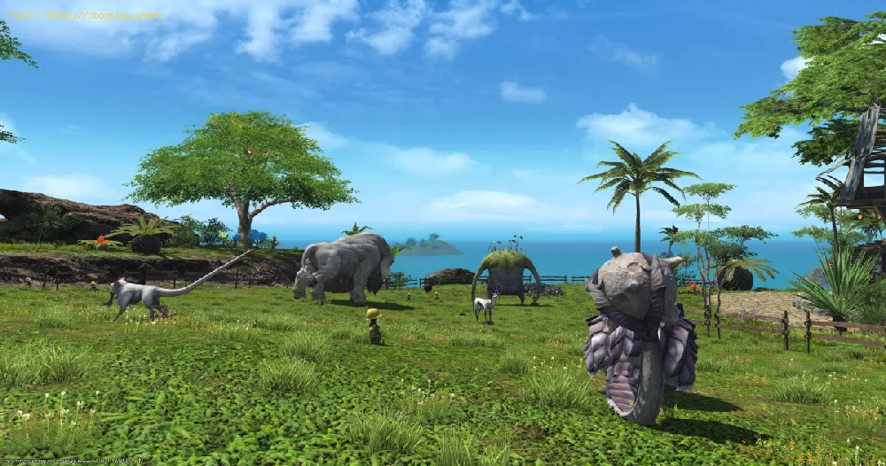 Where to find Apkallu of Paradise in FFXIV