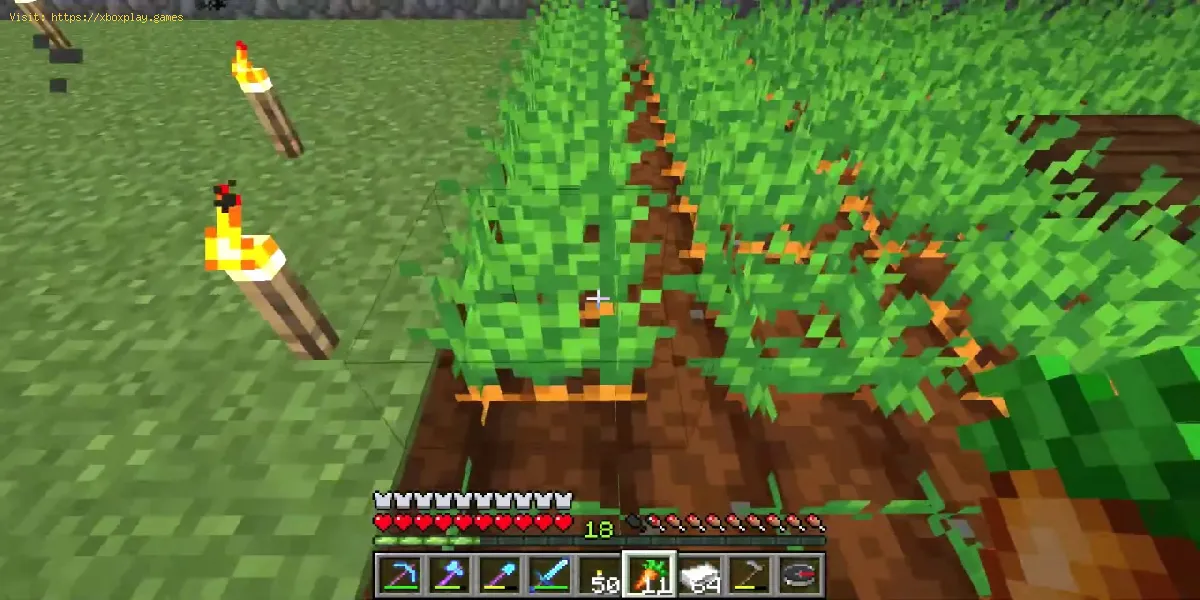 fare una carota dorata in Minecraft