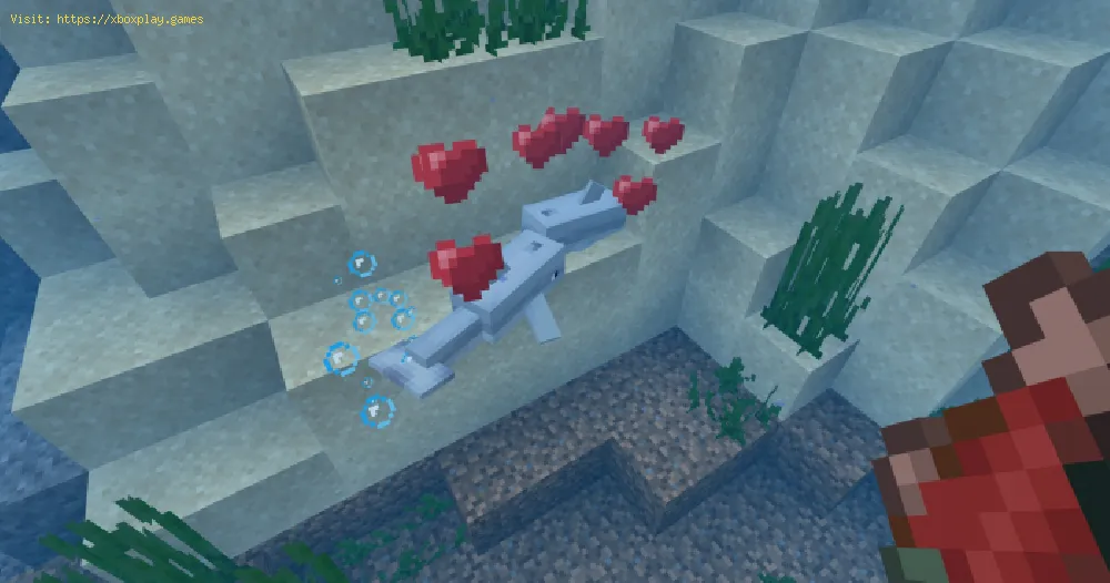 Breed Tropical Fish In Minecraft