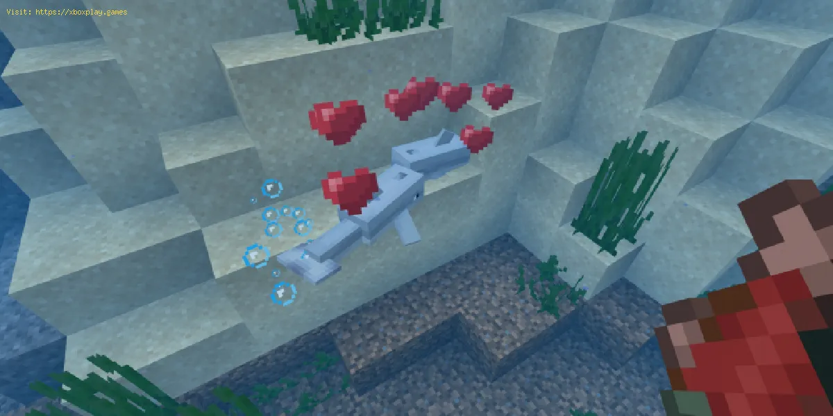 criar peixes tropicais em Minecraft
