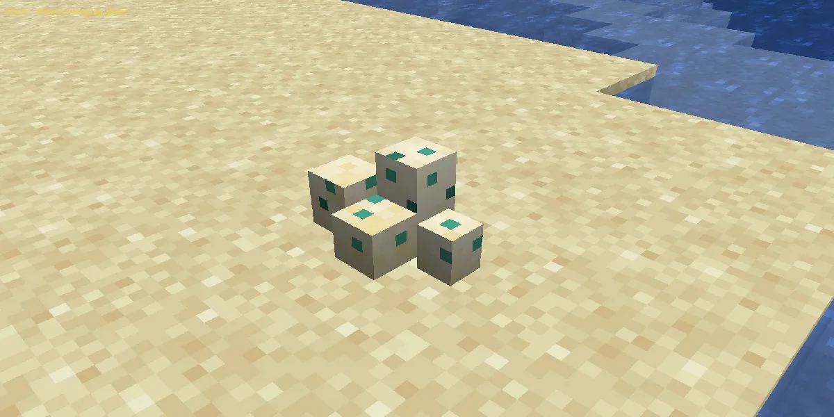 obter ovos de tartaruga marinha em Minecraft