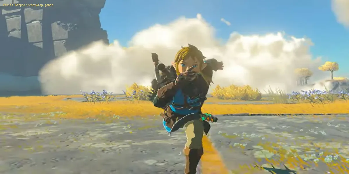 Alle neuen Waffen in Zelda Tears of the Kingdom