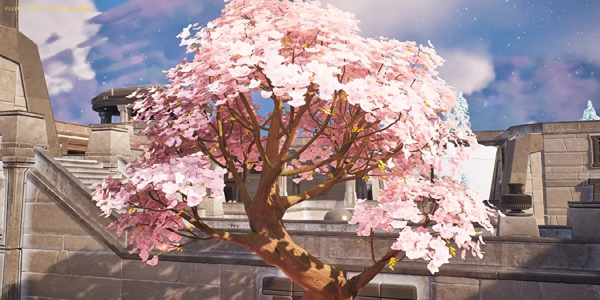 Wie kann man Kirschblütenbaum-Displays in Fortnite besuchen?