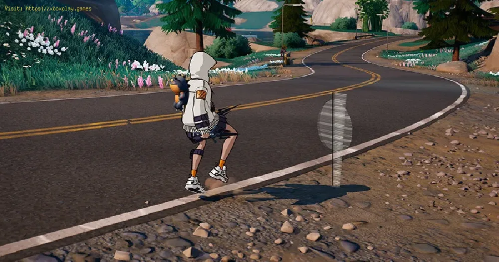 Fortnite: How To Place Chicken Crossing Signs