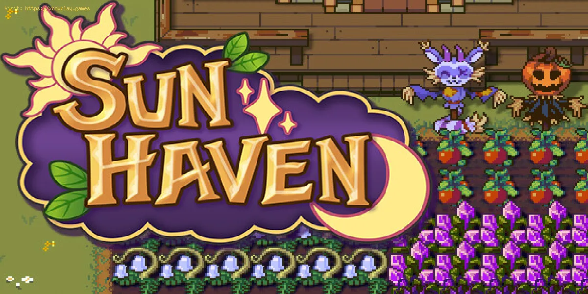 Comment jouer avec des amis dans Sun Haven - Guide