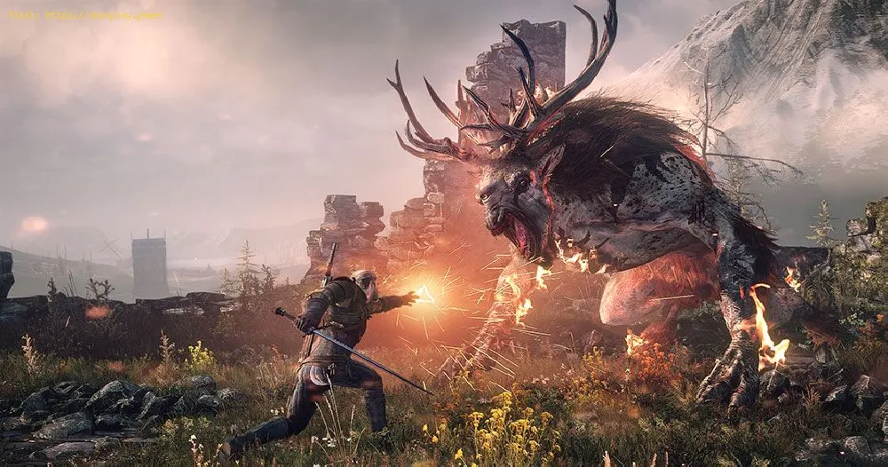 The Witcher 3: How to change motion blur