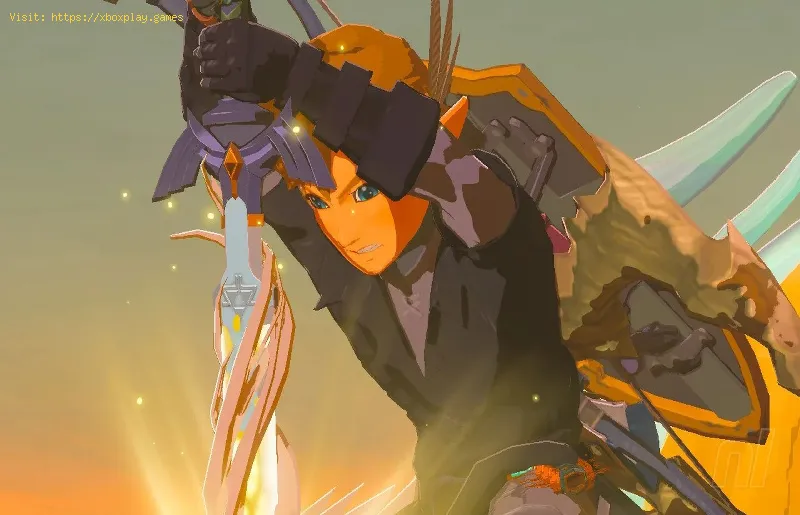 All Unique Horse in Zelda Tears of the Kingdom