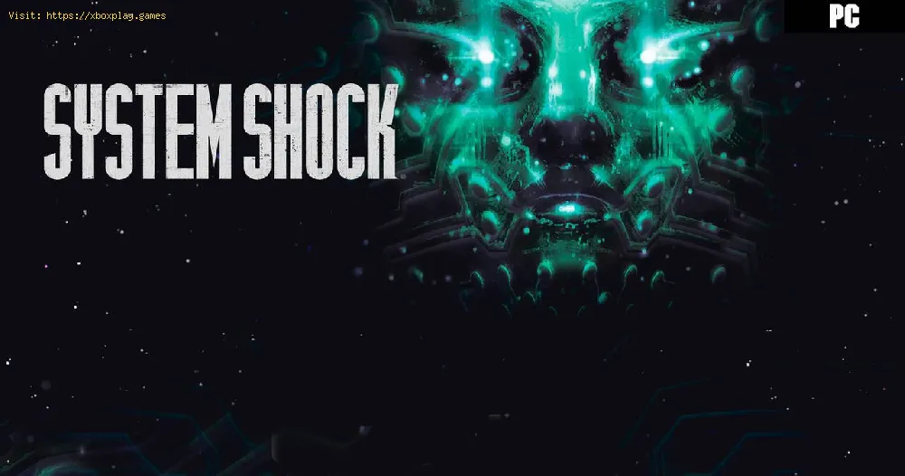 How to get Robot Maintenance code in System Shock