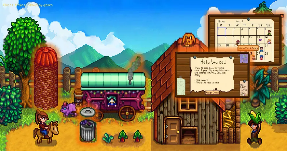 Complete The Pirate’s Wife Quest  in Stardew Valley