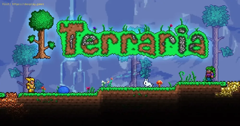 Get Beetle Armor in Terraria