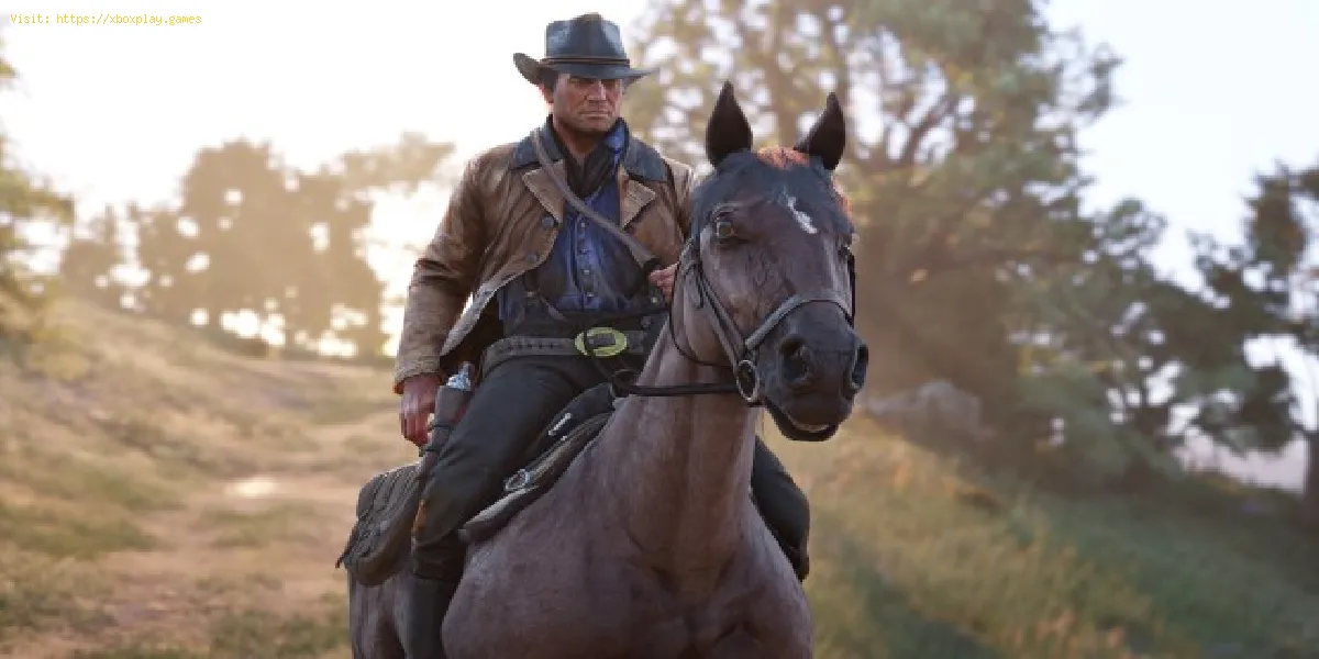 Red Dead Redemption 2: Wie man ein Objekt mit dem Pferd bewegt