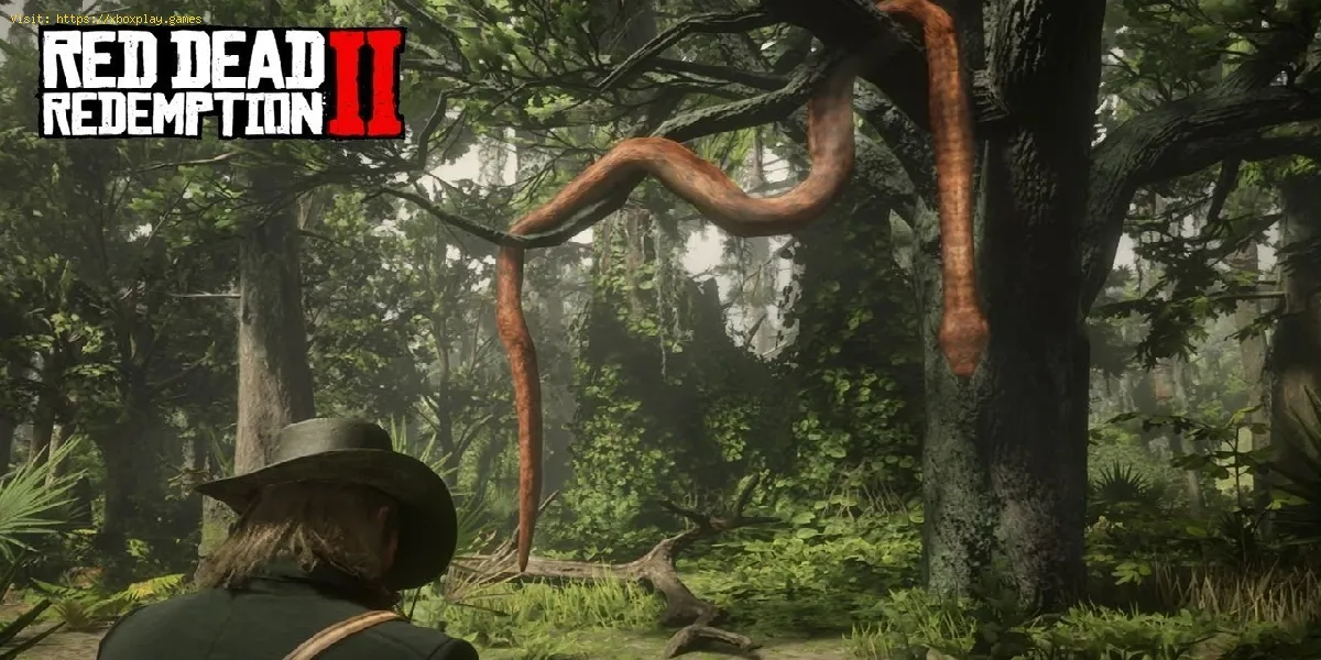 Red Dead Redemption 2: Wo finde ich die Riesenschlange?