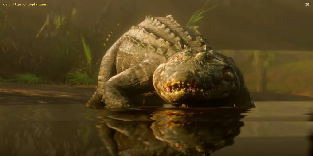 Dead Redemption 2: wo man Alligatoren findet