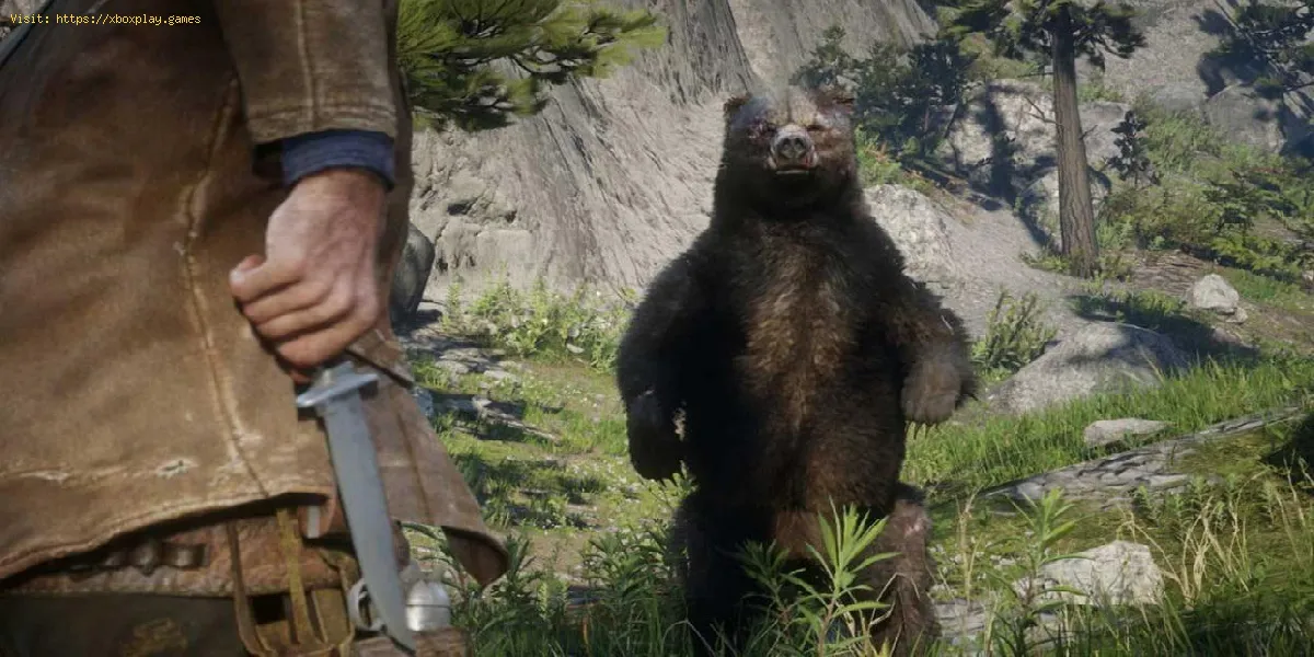 Red Dead Redemption 2: Dónde encontrar al oso legendario