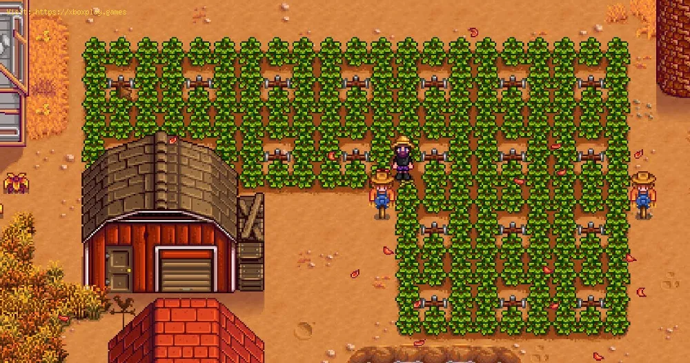 Upgrade Your House in Stardew Valley