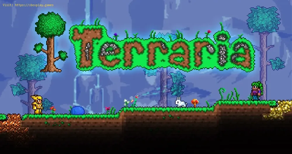 Fix Terraria Not Connecting