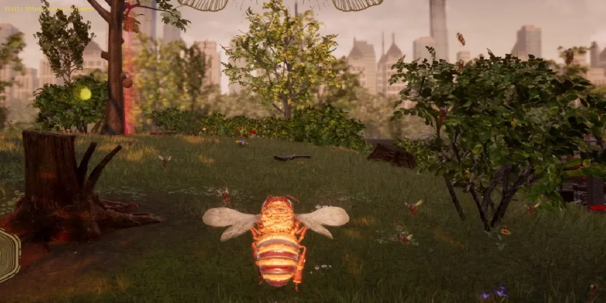 Bee Simulator Beetro: comment voyager vite