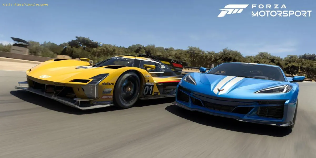Forza Motorsport no se iniciar en pantalla completa