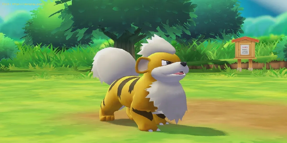 Pokemon Sword and Shield : Comment trouver Growlithe