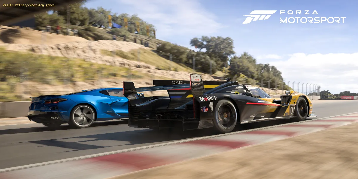 problema al aplicar la actualización en Forza Motorsport