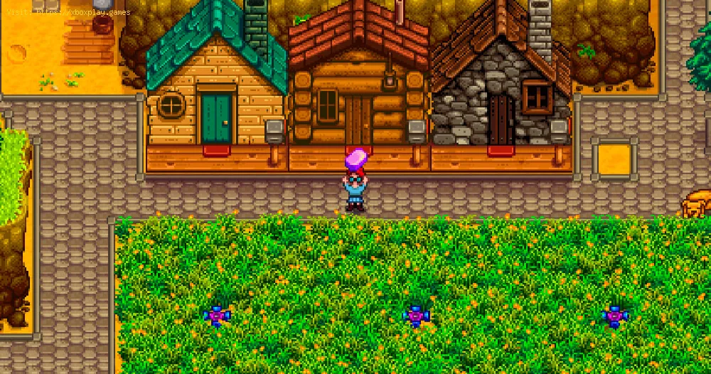 Get Ancient Seed in Stardew Valley