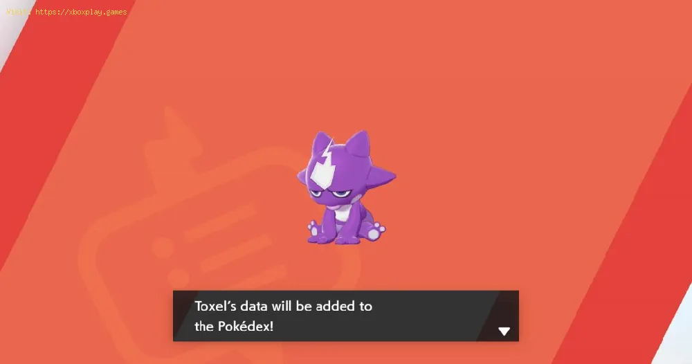 Pokemon Sword and Shield: How To Evolve Toxel In all Forms