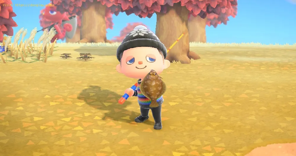 Get Pumpkins in Animal Crossing New Horizons