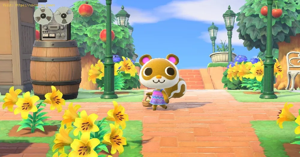 get Dab in Animal Crossing New Horizons