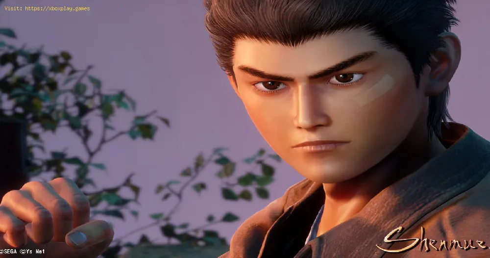 Shenmue 3: where to find 50 Year Old Lao Jiu - tips and tricks