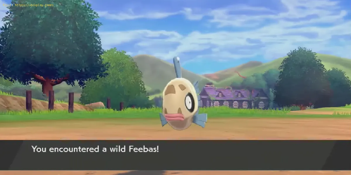 Pokemon Sword and Shield: Comment faire évoluer Feebas