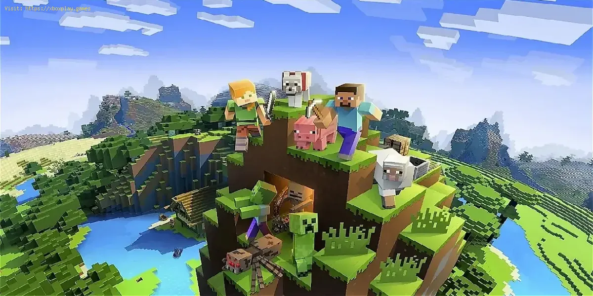Behebung, dass der Minecraft-Skin im Mehrspielermodus nicht angezeigt wird