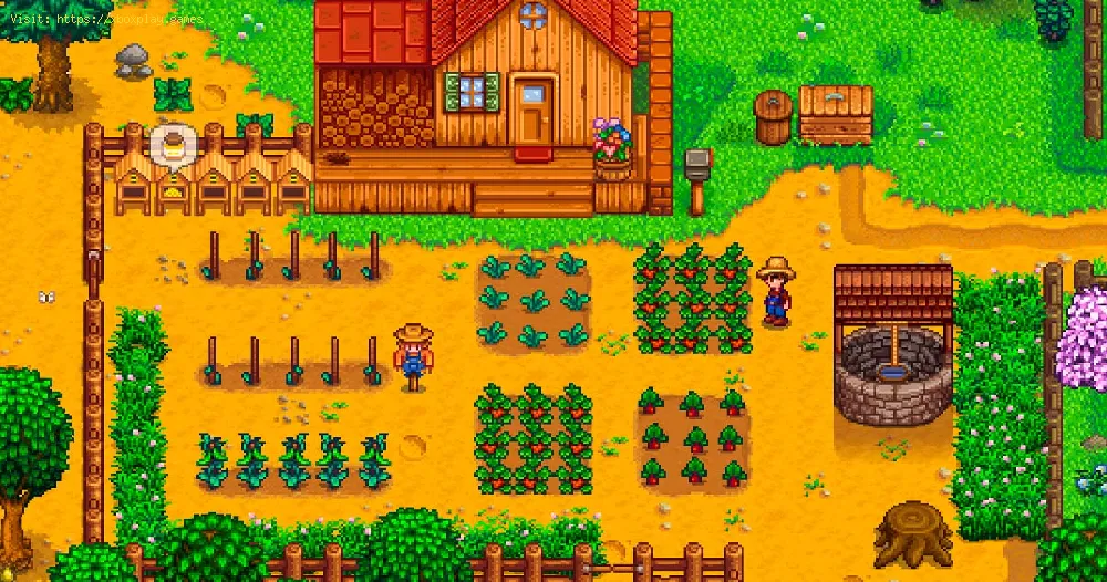 find Mystery Boxes in Stardew Valley