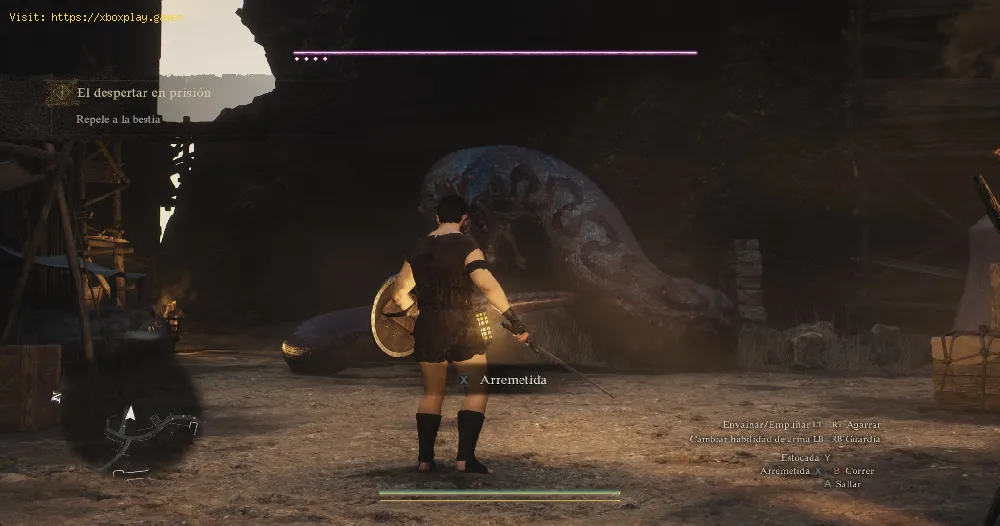 find the Courtly Tunic in Dragon’s Dogma 2