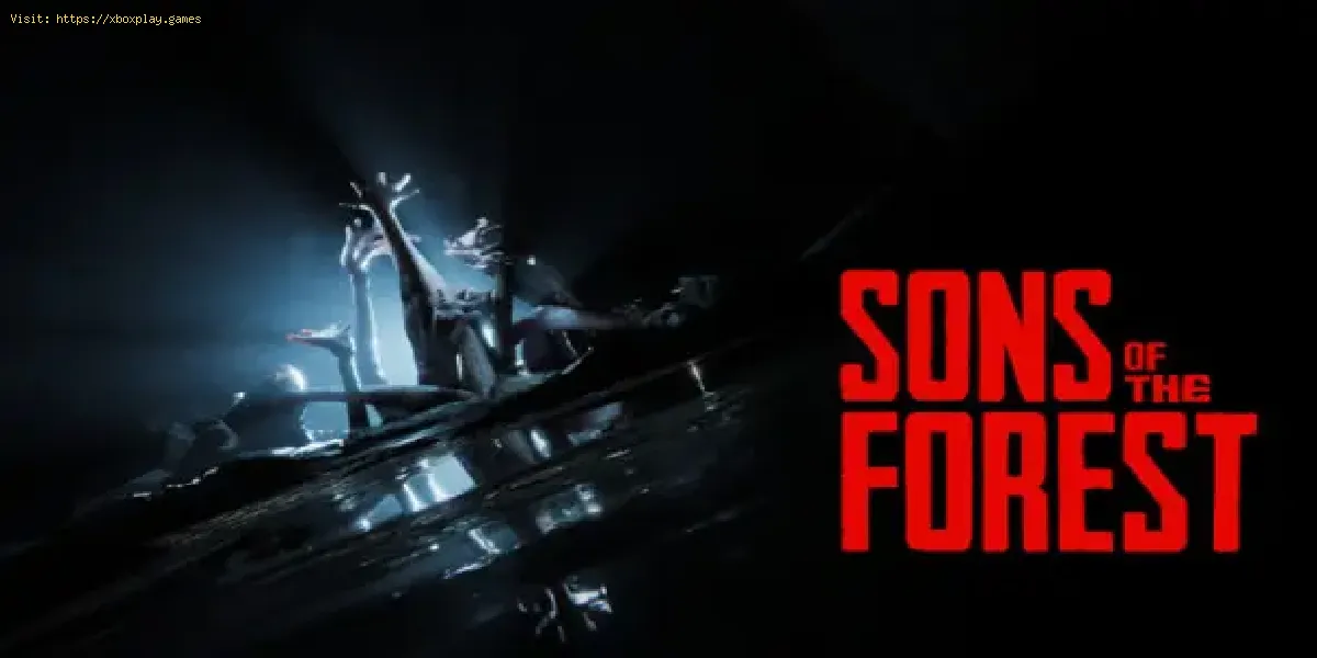 Sons of the Forest: espingarda de ferrolho
